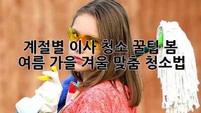 계절별 이사 청소 꿀팁: 봄, 여름, 가을, 겨울 맞춤 청소법