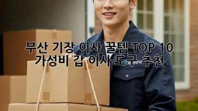 부산 기장 이사 꿀템🍯 TOP 10! 가성비 갑 이사 도구 추천