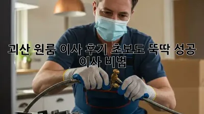 괴산 원룸 이사 후기: 초보도 뚝딱! 성공 이사 비법